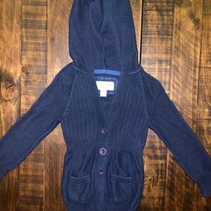 American Eagle Outfitters Navy Hooded Sweater